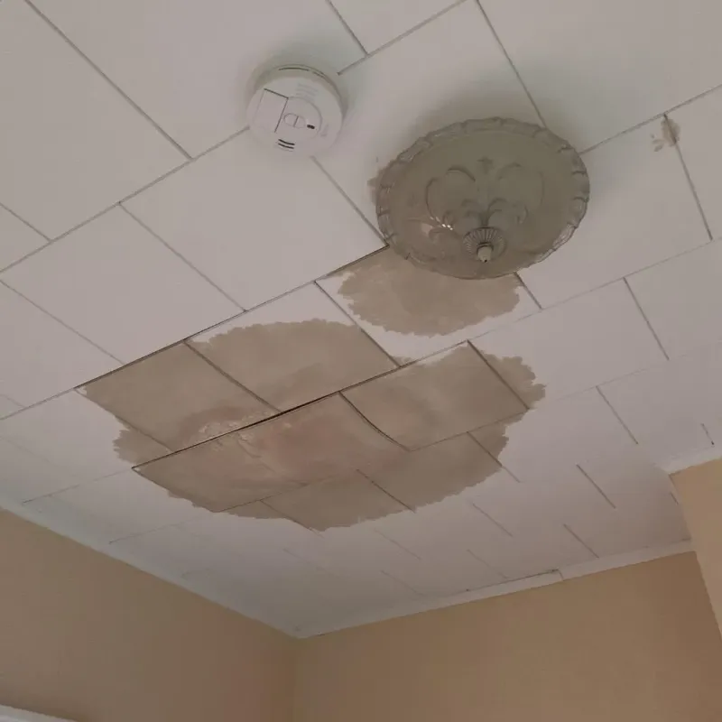 Ceiling Water Damage Repair in East Palo Alto, CA