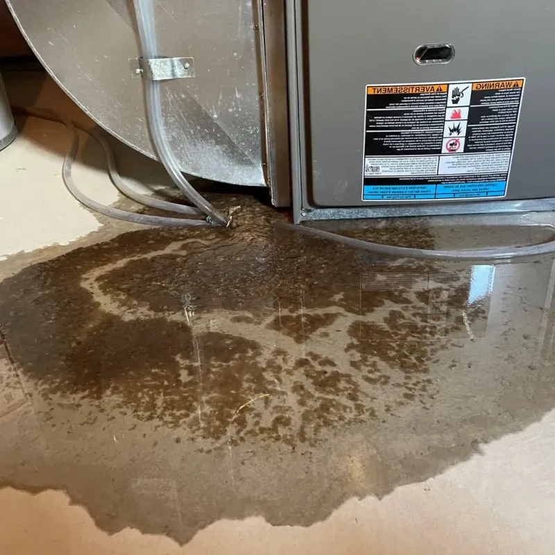 Pipe Burst and Leak Restoration in East Palo Alto, CA